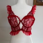 For Love & Lemons VS π Size M Rouge Red Bustier Corset Lace Lingerie Photo 3