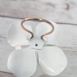 Vintage Jeri Photo 7