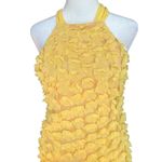 Jill Stuart  Flower Appliqué Chiffon Dress Photo 3