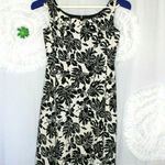 Lafayette 148 Dress Women's Size 2 Black White Floral Sleeveless Cotton Lined Photo 2