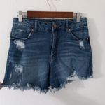 Sincerely Jules 9/29 Distressed Stretch Raw Hem Jeans Shorts Blue Size 30 Photo 0