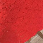 Alfani  Dress 22W Lace Plus Size Party Dress Stretch Coral Boho fruit punch Photo 2