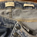 Wonderly Plus Size Wide Leg Raw Hem Button Front Denim Jeans Size 22 Photo 2