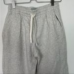 Everlane NWT  grey organic cotton sweatpants small Photo 4