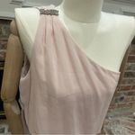 Adrianna Papell long nude/blush formal dress with silvertone hardware / 12 / NWT Photo 10