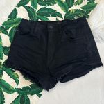 KanCan USA Kancan Fringe Hem Festival Shorts Photo 0