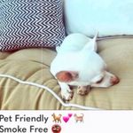 Gildan Large  Sailboat ⛵️ hibiscus 🌺 sweatshirt from Etsy - tag removed Photo 3