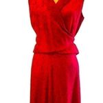 Oberon animal print red/black wrap top and maxi skirt. Fully lined. Size 6. Black Photo 0