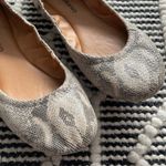 Lululemon Lucky Brand Snake Print Emmie Ballet Flats Size 8.5 Photo 1