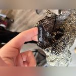 Madewell Polka Dot Top. . Size 2. Photo 2