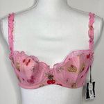 Victoria's Secret Chantal Thomass Victoria’s Secret Bra Photo 0