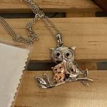 Momma Owl and Baby Owl Sterling Rose Gold Necklace Silver Photo 1