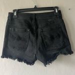 Idyllwind  Black Distressed Jeans Shorts Size 6 Photo 3