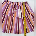 MINKPINK  Colorful Striped Mini Skirt Photo 6