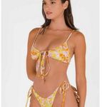 Blackbough ๐๐ Daniella Bikini Set ~ May Flowers Large L NWOT Photo 4