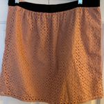 Loft Ann Taylor Pink Eyelet Skirt with Black Waistband Photo 5