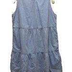 Duffield Lane Sandy Blue Textured Dot Dress Size Large Photo 0