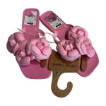 Jeffrey Campbell Fleuris Jelly Flip Flop Pink Floral Thong Sandals Size 8 New Photo 0