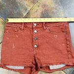 Treasure & Bond  Distressed Cutoff Rust Shorts 31 Photo 3