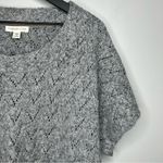 Coldwater Creek  Grey Short Sleeve Sweater Size 2X Photo 3