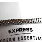EXPRESS NWT  Modern Esssentials Segmented Snake Silver Tone Chain 6.5" Bracelet Photo 2
