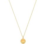 Ellie Vail Arlo St. Benedict Necklace in Gold Womens Holy Chain Pendant Photo 0