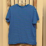 U.S. Polo Assn. Blue And White Striped Photo 1