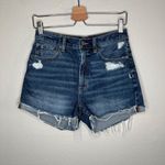 American Eagle  Womens Highest Rise 90s Boyfriend Short Size 6 Distressed hem Photo 9
