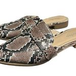 Charles David  mules slip on size 7 faux snake‎ print pointed toe Photo 0