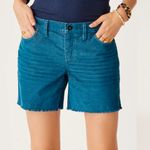Carve Designs  Oahu 6” Corduroy Shorts size 14 Photo 1
