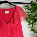 FLAWED Tuckernuck Poppy Pink Tulle Giselle Gown Floral Embroidered size L Large Photo 8