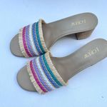 J.Crew Women’s Classy Seasonal Style Woven Mule Raffia Rainbow Sandals Sz 8.5 Photo 9