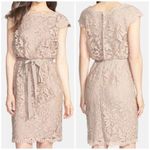 Tadashi Shoji Greta Lace Cocktail Dress in Sand Beige Size 8 Photo 0