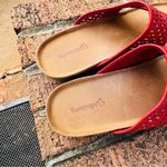 Baretraps  Juny Cherry Red Sandals Size 9.5 Photo 2