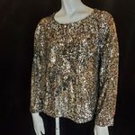 Equipment NWT  Femme Abeline Chrome Sequined Blouse (XS) Photo 4