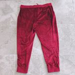 Michael Kors  Burgundy Plush Velvet Joggers Plus Size XXL NWT $88.00 Photo 3