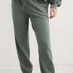 Aerie  the Chill Jogger Royal Palm Green Medium Photo 0