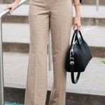Chico's Taupe Dress Work Pants Photo 0