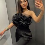 ZARA top bandeau tulle black cropped blouse Photo 0