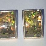 Rectangular Faux Abalone Shell Earrings with Silver Tone Trim Green Photo 0