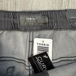 Torrid Grey Crop Boyfriend Straight Tuxedo Stripe Pants - New - Size 4 (26) Photo 4