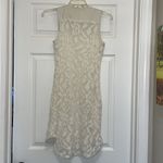 ✨Waverly Grey Cream Sleeveless Lace Overlay Bodycon Dress Size 2 Photo 6