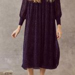 The Great ππ The Merry Dress ~ Navy Blue Velvet Burnout Polka Dot Midi M NWT Photo 0