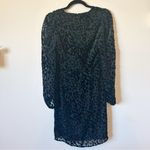 Toccin NY Doris Draped Long Sleeve Leopard Velvet Mini Dress 4 Photo 5
