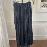 EXPRESS Vintage Tricot Sheer Black Lace Midi Skirt S Photo 4
