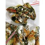 NWT Tropic Tango Twist of Lime Boho wide leg Hawaii Vacation beautiful pants Photo 7