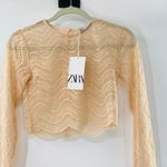 ZARA NEW  Beige Wavy Lace Scallop Hem Sheer Knit Long Sleeve Crop Top Small Y2K Photo 4