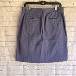 L. L. Bean Blue Classic Fit Women's Skirt Size 12 Petite Photo 1