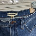 Madewell NWT  Curvy Roadtripper Stovepipe Jeans - Size 27 Tall Photo 5