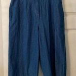 NAPA VALLEY Cropped Pants size 14P excellent condition inseam 18” waist 32” flat Photo 0